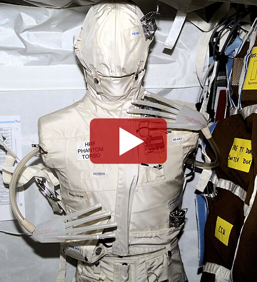 phantom torso